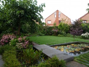 Groenblijvende planten kiezen Groenblijvende planten