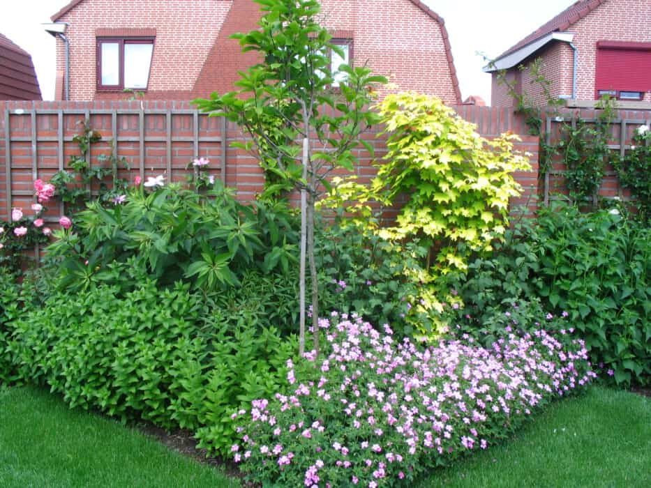 Planten kiezen voor tuin; tips