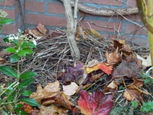 Rommelhoekjes in de tuin