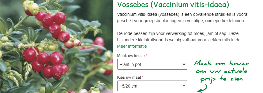 Vossenbes kopen