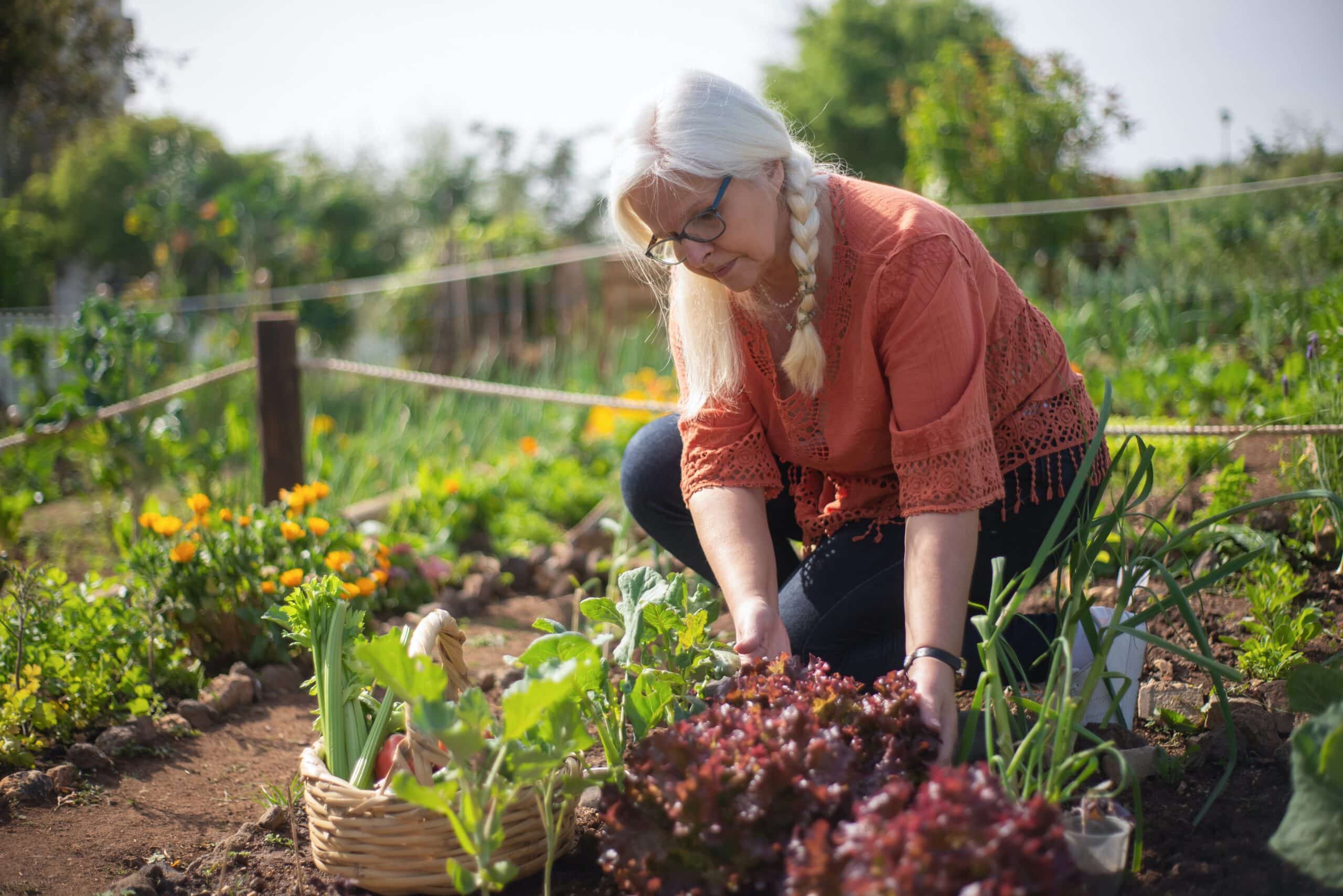 Hoe maak je een moestuin
